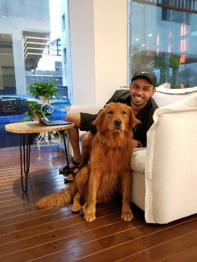 張家界武陵源北岸輕奢客棧 森林公園店 Hotell Zhangjiajie Eksteriør bilde